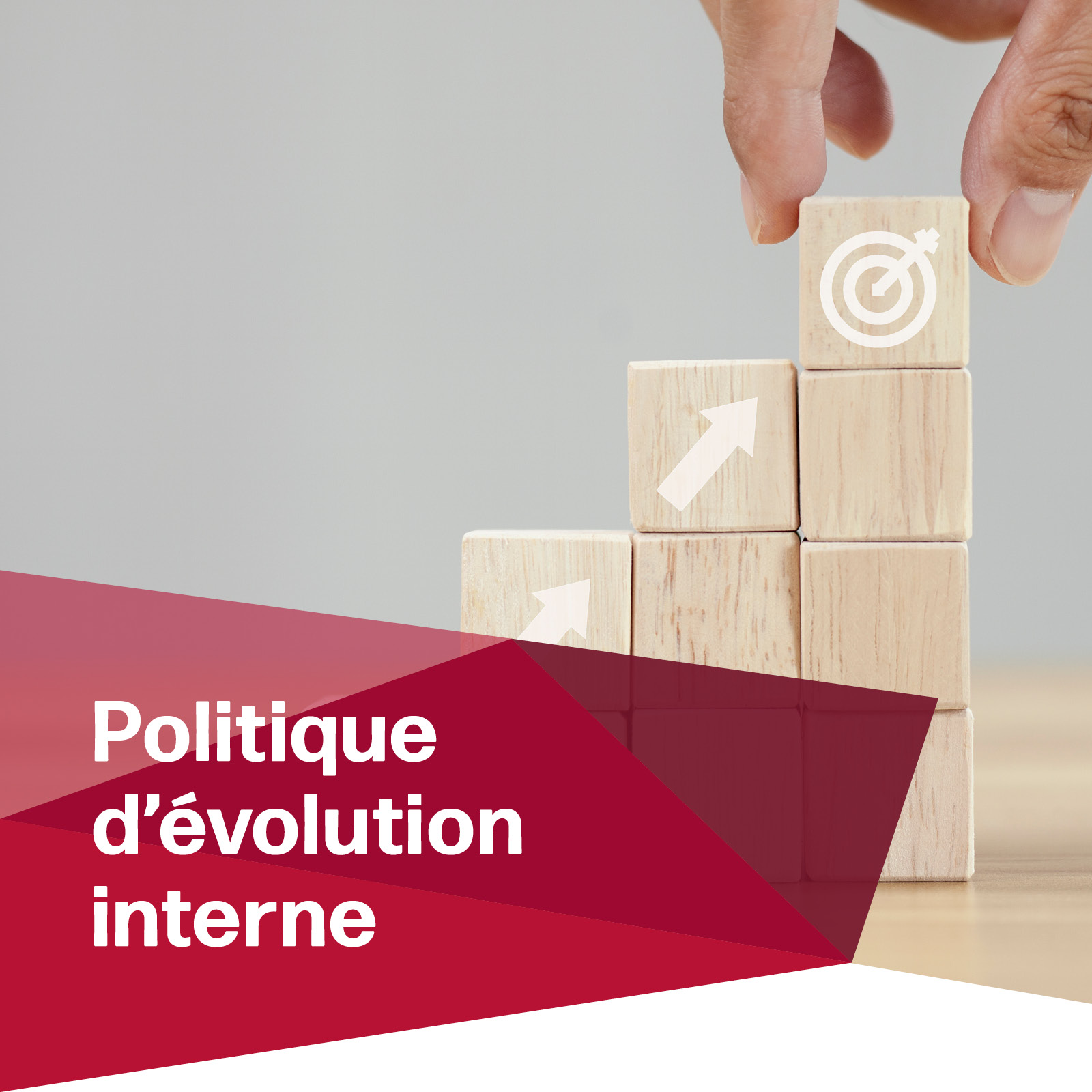 Website_2019_Slider_768px_03_FR7