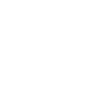 Icons_Case_Study_Wholesale-07