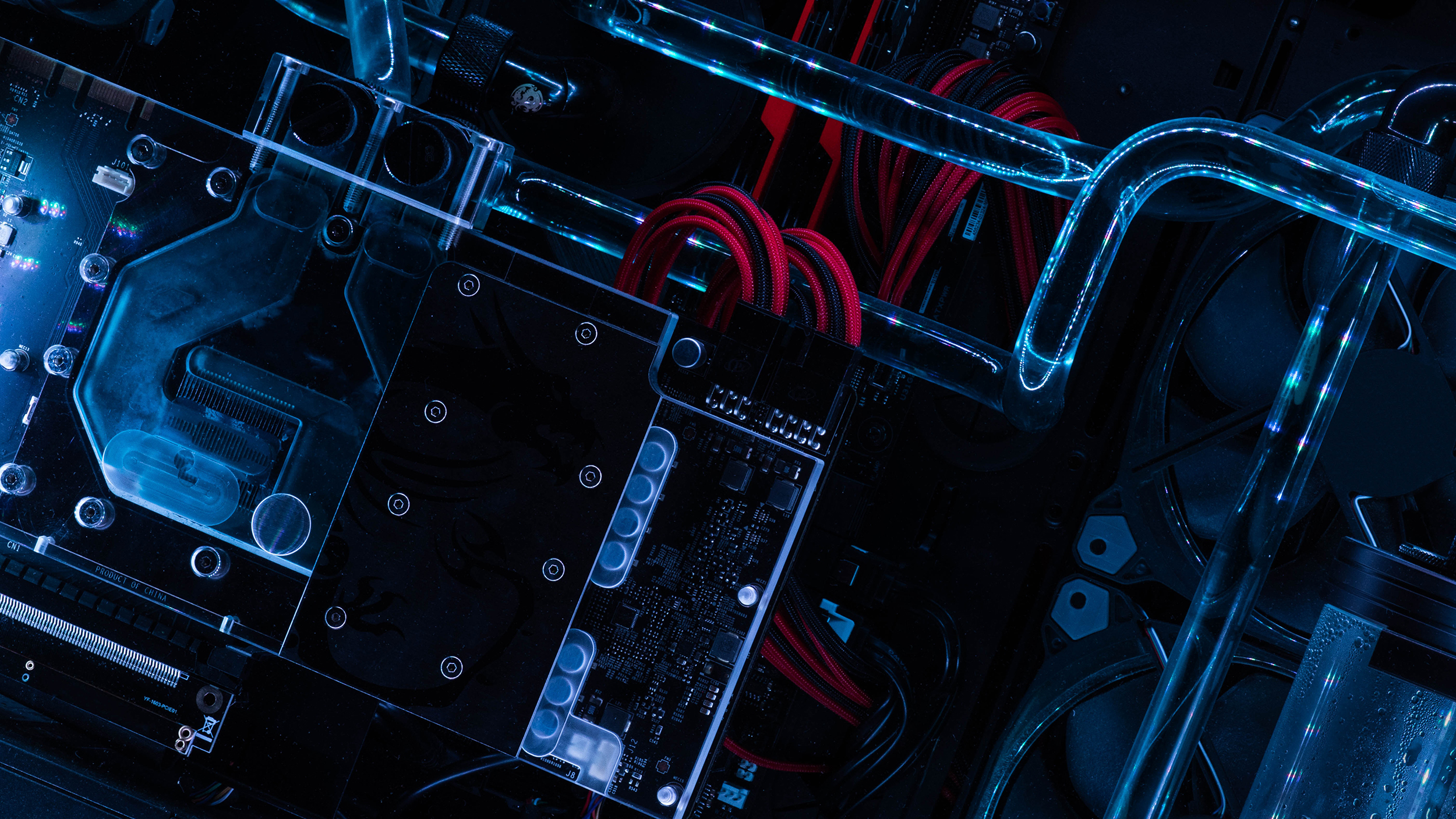 cristiano-firmani-tmTidmpILWw-unsplash